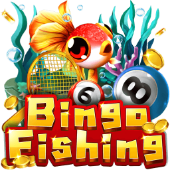 Câu Cá Bingo 3win new